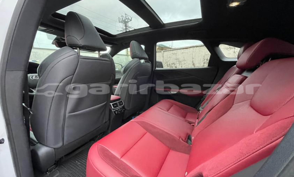 Buy Import Lexus RX 350 White Car in Douala in Littoral Cameroon Buy Import Lexus RX 350 White Car in Douala in Littoral Cameroon