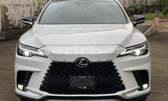 Buy Import Lexus RX 350 White Car in Douala in Littoral Cameroon Buy Import Lexus RX 350 White Car in Douala in Littoral Cameroon