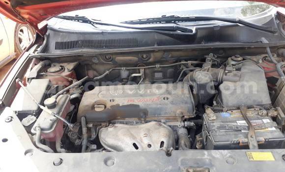 Acheter Occasion Voiture Toyota RAV4 Rouge à Douala, Littoral Cameroon Acheter Occasion Voiture Toyota RAV4 Rouge à Douala, Littoral Cameroon