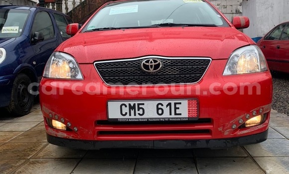 Buy Used Toyota Corolla Red Car in Douala in Littoral Cameroon