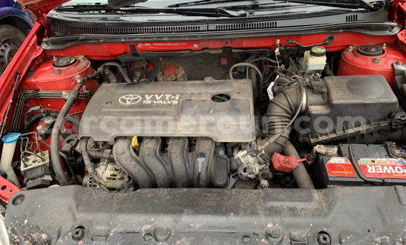 Acheter Occasion Voiture Toyota Corolla Rouge à Douala, Littoral Cameroon Acheter Occasion Voiture Toyota Corolla Rouge à Douala, Littoral Cameroon