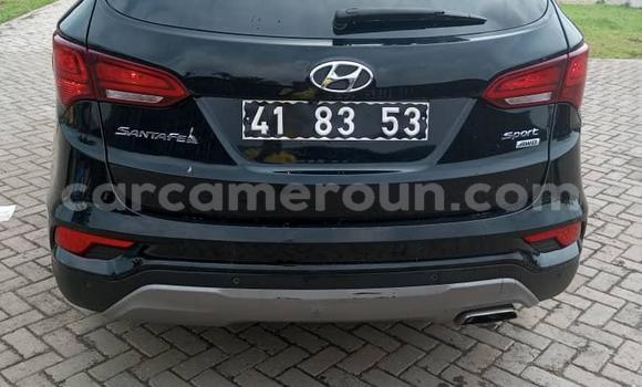 Acheter Import Voiture Hyundai Santa Fe Noir à Douala, Littoral Cameroon Acheter Import Voiture Hyundai Santa Fe Noir à Douala, Littoral Cameroon