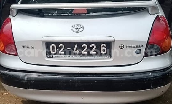 Buy New Toyota Corolla Silver Car in Douala in Littoral Cameroon