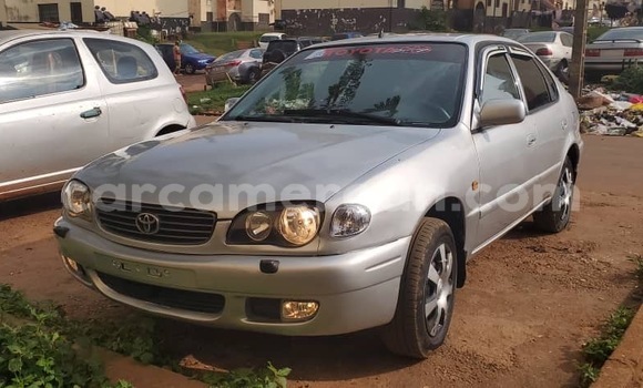 Acheter Occasion Voiture Toyota Corolla Gris à Yaoundé, Central Cameroon Acheter Occasion Voiture Toyota Corolla Gris à Yaoundé, Central Cameroon