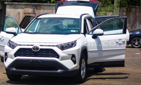 Buy Import Toyota RAV4 White Car in Douala in Littoral Cameroon Buy Import Toyota RAV4 White Car in Douala in Littoral Cameroon