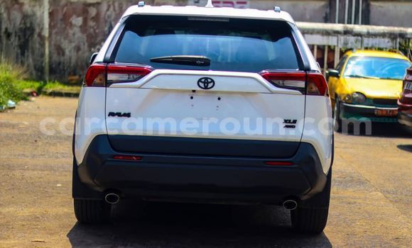 Buy Import Toyota RAV4 White Car in Douala in Littoral Cameroon Buy Import Toyota RAV4 White Car in Douala in Littoral Cameroon