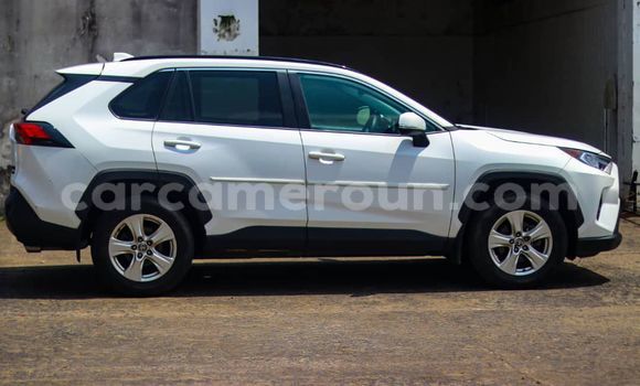 Buy Import Toyota RAV4 White Car in Douala in Littoral Cameroon Buy Import Toyota RAV4 White Car in Douala in Littoral Cameroon