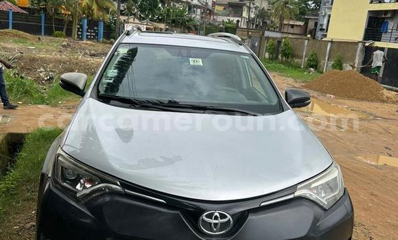 Sayi Na hannu Toyota RAV4 Azurfa Mota in Douala a Ƙasar Kamaru