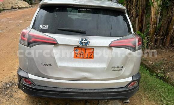 Buy Used Toyota RAV4 Silver Car in Douala in Littoral Cameroon Buy Used Toyota RAV4 Silver Car in Douala in Littoral Cameroon