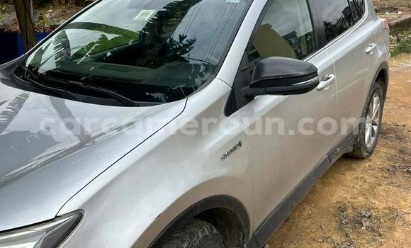 Buy Used Toyota RAV4 Silver Car in Douala in Littoral Cameroon Buy Used Toyota RAV4 Silver Car in Douala in Littoral Cameroon