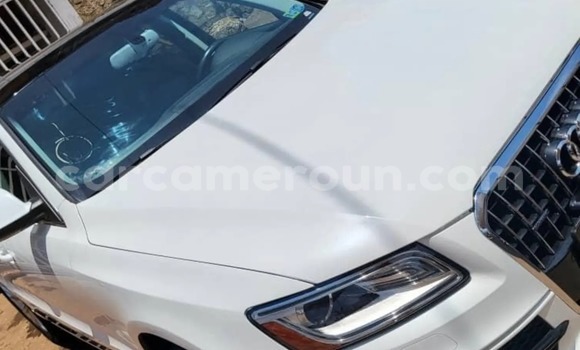 Buy Used Audi Q5 White Car in Yaounde in Central Cameroon Buy Used Audi Q5 White Car in Yaounde in Central Cameroon