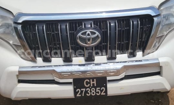 Buy Used Toyota Land Cruiser Prado White Car in Yaounde in Central Cameroon