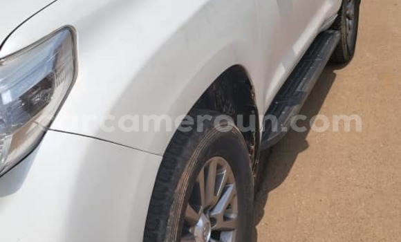 Buy Used Toyota Land Cruiser Prado White Car in Yaounde in Central Cameroon Buy Used Toyota Land Cruiser Prado White Car in Yaounde in Central Cameroon