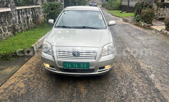 Buy Used Toyota Avensis Silver Car in Douala in Littoral Cameroon