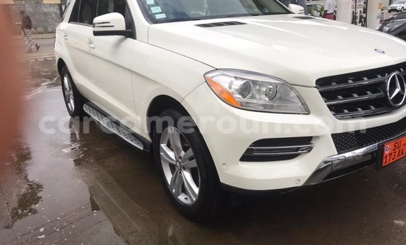 Buy Used Mercedes‒Benz ML–Class White Car in Douala in Littoral Cameroon