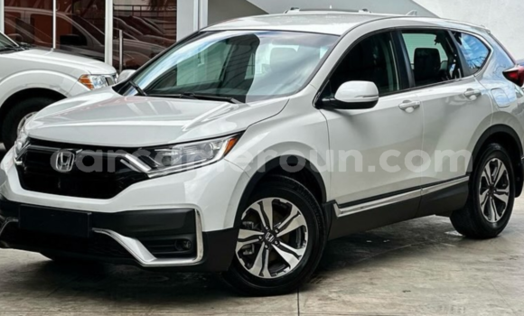 Acheter Occasion Voiture Honda CR–V Blanc à Douala, Littoral Cameroon