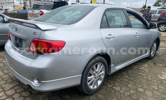 Sayi Imported Toyota Corolla Azurfa Mota in Douala a Ƙasar Kamaru Sayi Imported Toyota Corolla Azurfa Mota in Douala a Ƙasar Kamaru