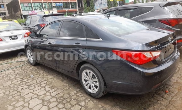 Acheter Import Voiture Hyundai Sonata Bleu à Douala, Littoral Cameroon Acheter Import Voiture Hyundai Sonata Bleu à Douala, Littoral Cameroon