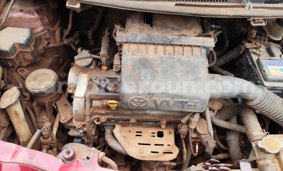 Buy New Toyota Yaris Red Car in Yaounde in Central Cameroon Buy New Toyota Yaris Red Car in Yaounde in Central Cameroon