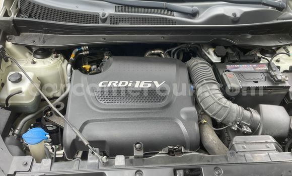 Acheter Import Voiture Kia Sportage Blanc à Douala, Littoral Cameroon Acheter Import Voiture Kia Sportage Blanc à Douala, Littoral Cameroon