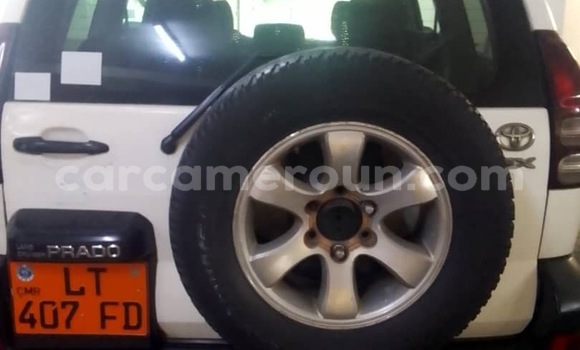 Acheter Occasion Voiture Toyota Prado Blanc à Douala, Littoral Cameroon