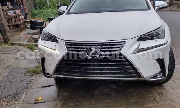 Sayi Sabo Lexus NX White Mota in Douala a Ƙasar Kamaru