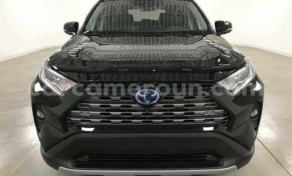 Acheter Neuf Voiture Toyota RAV4 Noir à Douala, Littoral Cameroon
