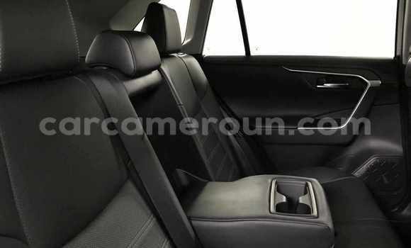 Acheter Neuf Voiture Toyota RAV4 Noir à Douala, Littoral Cameroon Acheter Neuf Voiture Toyota RAV4 Noir à Douala, Littoral Cameroon