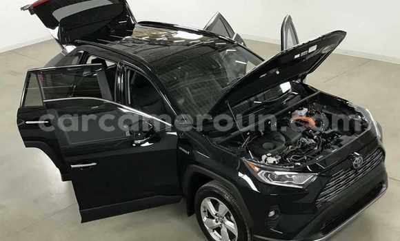 Acheter Neuf Voiture Toyota RAV4 Noir à Douala, Littoral Cameroon Acheter Neuf Voiture Toyota RAV4 Noir à Douala, Littoral Cameroon