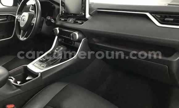 Acheter Neuf Voiture Toyota RAV4 Noir à Douala, Littoral Cameroon Acheter Neuf Voiture Toyota RAV4 Noir à Douala, Littoral Cameroon