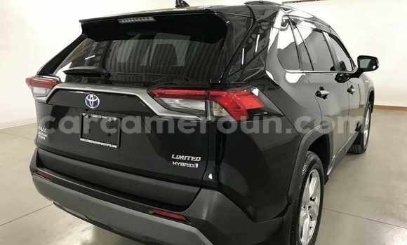 Acheter Neuf Voiture Toyota RAV4 Noir à Douala, Littoral Cameroon Acheter Neuf Voiture Toyota RAV4 Noir à Douala, Littoral Cameroon