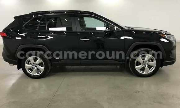 Acheter Neuf Voiture Toyota RAV4 Noir à Douala, Littoral Cameroon Acheter Neuf Voiture Toyota RAV4 Noir à Douala, Littoral Cameroon