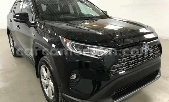 Acheter Neuf Voiture Toyota RAV4 Noir à Douala, Littoral Cameroon Acheter Neuf Voiture Toyota RAV4 Noir à Douala, Littoral Cameroon