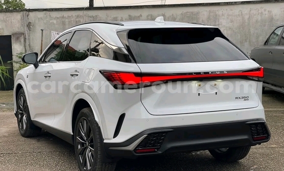 Sayi Sabo Lexus RX 350 White Mota in Douala a Ƙasar Kamaru Sayi Sabo Lexus RX 350 White Mota in Douala a Ƙasar Kamaru