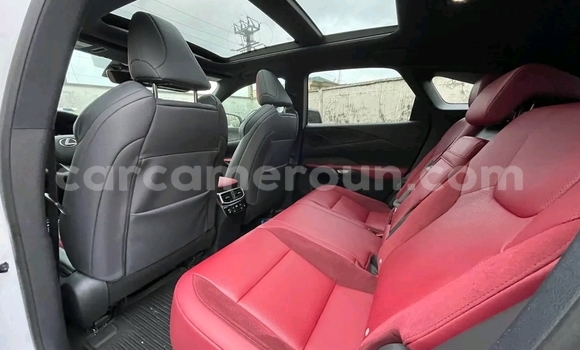 Sayi Sabo Lexus RX 350 White Mota in Douala a Ƙasar Kamaru Sayi Sabo Lexus RX 350 White Mota in Douala a Ƙasar Kamaru