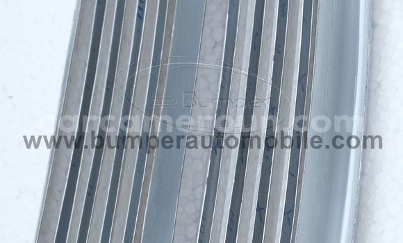 Buy Center grill BMW 2002 in Bafoussam in West Cameroon Buy Center grill BMW 2002 in Bafoussam in West Cameroon