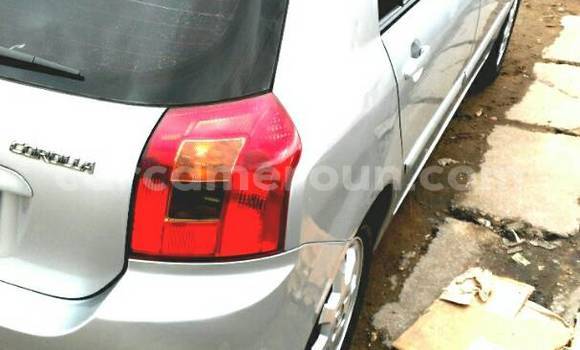 Acheter Occasion Voiture Toyota Corolla Gris à Douala, Littoral Cameroon Acheter Occasion Voiture Toyota Corolla Gris à Douala, Littoral Cameroon