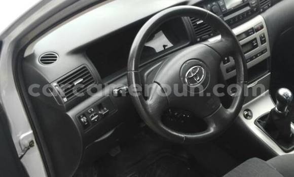 Acheter Occasion Voiture Toyota Corolla Gris à Douala, Littoral Cameroon Acheter Occasion Voiture Toyota Corolla Gris à Douala, Littoral Cameroon