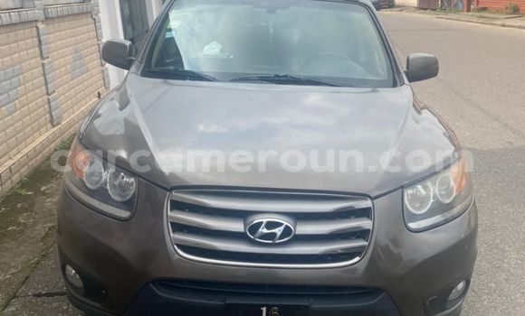 Acheter Occasion Voiture Hyundai Santa Fe Marron à Douala, Littoral Cameroon