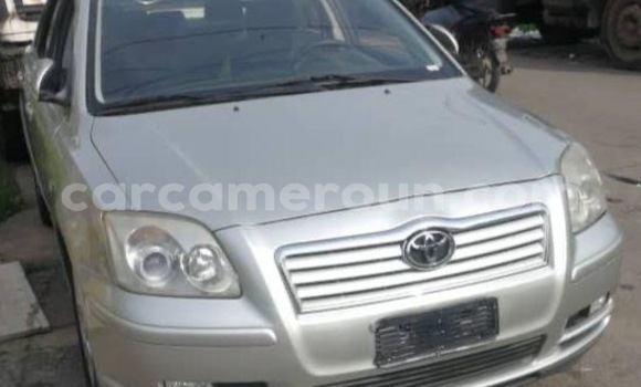 Buy New Toyota Avensis Silver Car in Yaounde in Central Cameroon Buy New Toyota Avensis Silver Car in Yaounde in Central Cameroon