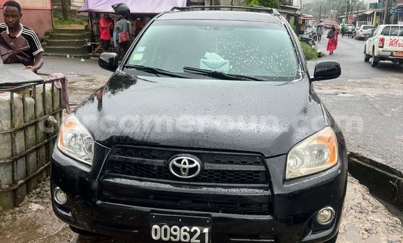 Acheter Import Voiture Toyota RAV4 Noir à Douala, Littoral Cameroon