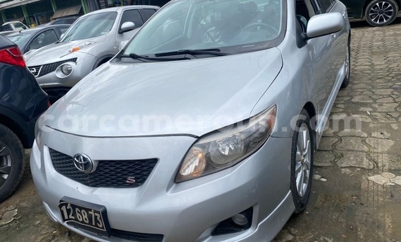 Buy Import Toyota Corolla White Car in Douala in Littoral Cameroon Buy Import Toyota Corolla White Car in Douala in Littoral Cameroon