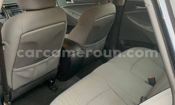 Sayi Imported Hyundai Sonata Blue Mota in Douala a Ƙasar Kamaru Sayi Imported Hyundai Sonata Blue Mota in Douala a Ƙasar Kamaru