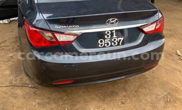 Sayi Imported Hyundai Sonata Blue Mota in Douala a Ƙasar Kamaru Sayi Imported Hyundai Sonata Blue Mota in Douala a Ƙasar Kamaru
