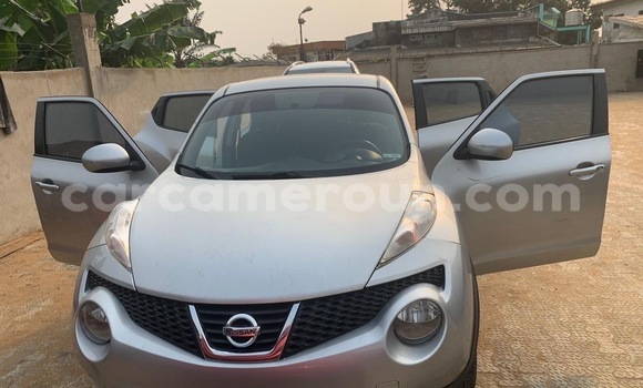 Acheter Import Voiture Nissan Juke Gris à Douala, Littoral Cameroon