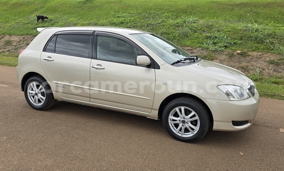 Buy Used Toyota Runx Brown Car in Yaounde in Central Cameroon