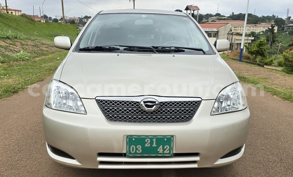 Acheter Occasion Voiture Toyota Runx Marron à Yaoundé, Central Cameroon Acheter Occasion Voiture Toyota Runx Marron à Yaoundé, Central Cameroon