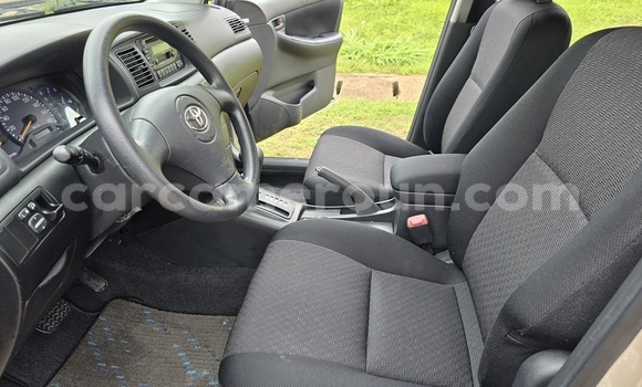 Acheter Occasion Voiture Toyota Runx Marron à Yaoundé, Central Cameroon Acheter Occasion Voiture Toyota Runx Marron à Yaoundé, Central Cameroon