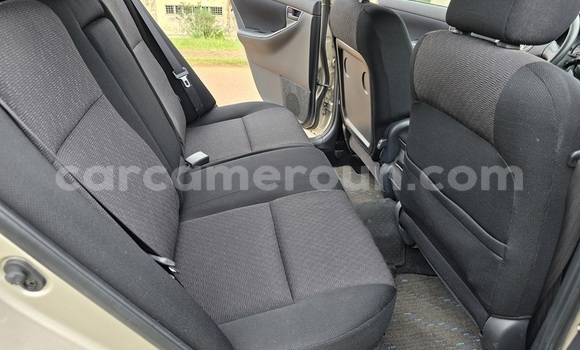 Acheter Occasion Voiture Toyota Runx Marron à Yaoundé, Central Cameroon Acheter Occasion Voiture Toyota Runx Marron à Yaoundé, Central Cameroon