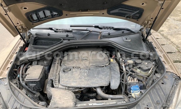 Sayi Na hannu Mercedes‒Benz ML–Class Sauran Mota in Douala a Ƙasar Kamaru Sayi Na hannu Mercedes‒Benz ML–Class Sauran Mota in Douala a Ƙasar Kamaru